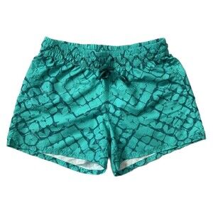 The North Face Women's Flashdry Shorts Size S Outdoor Walking Athleisure